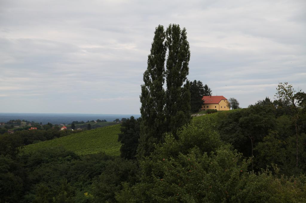 Holiday Home Maderka Strigova Екстер'єр фото