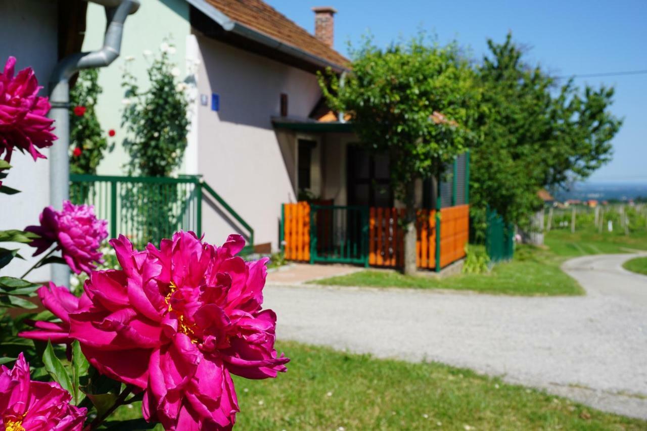 Holiday Home Maderka Strigova Екстер'єр фото