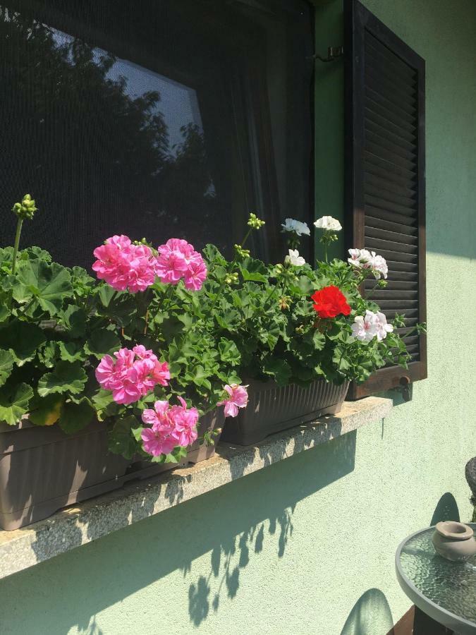 Holiday Home Maderka Strigova Екстер'єр фото
